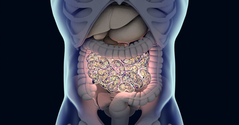 Rahasia Panjang Umur: Studi Terbaru Ungkap Peran Mikrobioma Usus